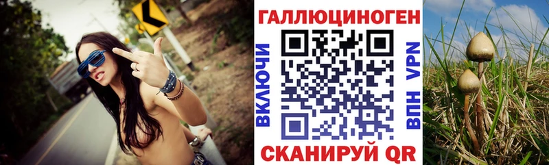 Псилоцибиновые грибы GOLDEN TEACHER  Нахабино 